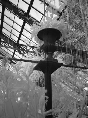 conservatory urn