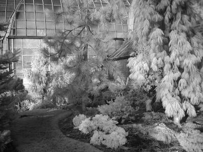 outside conservatory