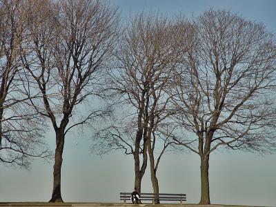 Bird Bench and Bonhomie