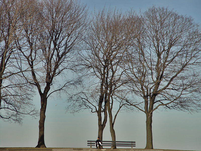 Bird Bench and Bonhomie