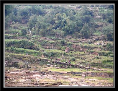 Terraced