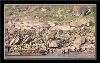 Unloading Horses