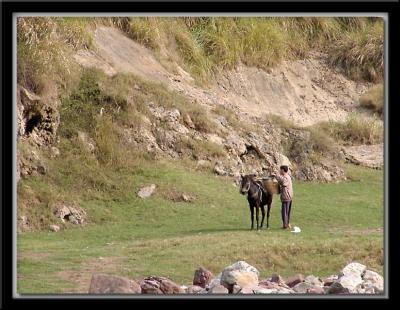 One Horse One Man