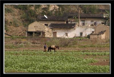 u23/wendyo/medium/10555355.yangtze38copy.jpg
