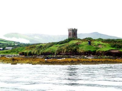 u23/wrcphoto/medium/22067663.watchtowerdingle.jpg