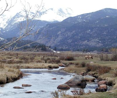 Moraine Park Herd