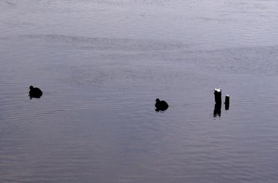 P1068603M.jpg