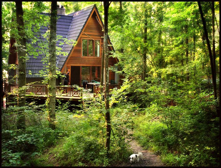 Our home in the Woods