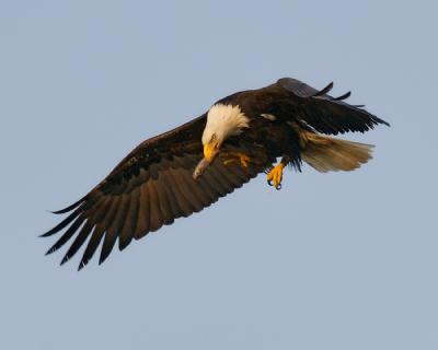 DH023625-M5x4.jpg