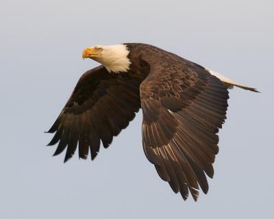DH023743-M5x4.jpg