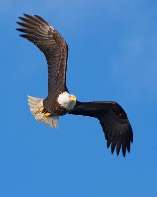 DH023219-M5x4.jpg