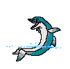animated Dolphin.gif