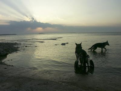 apr120094.jpg