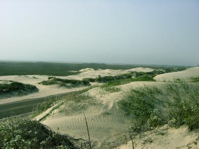 South Padre Island 2003