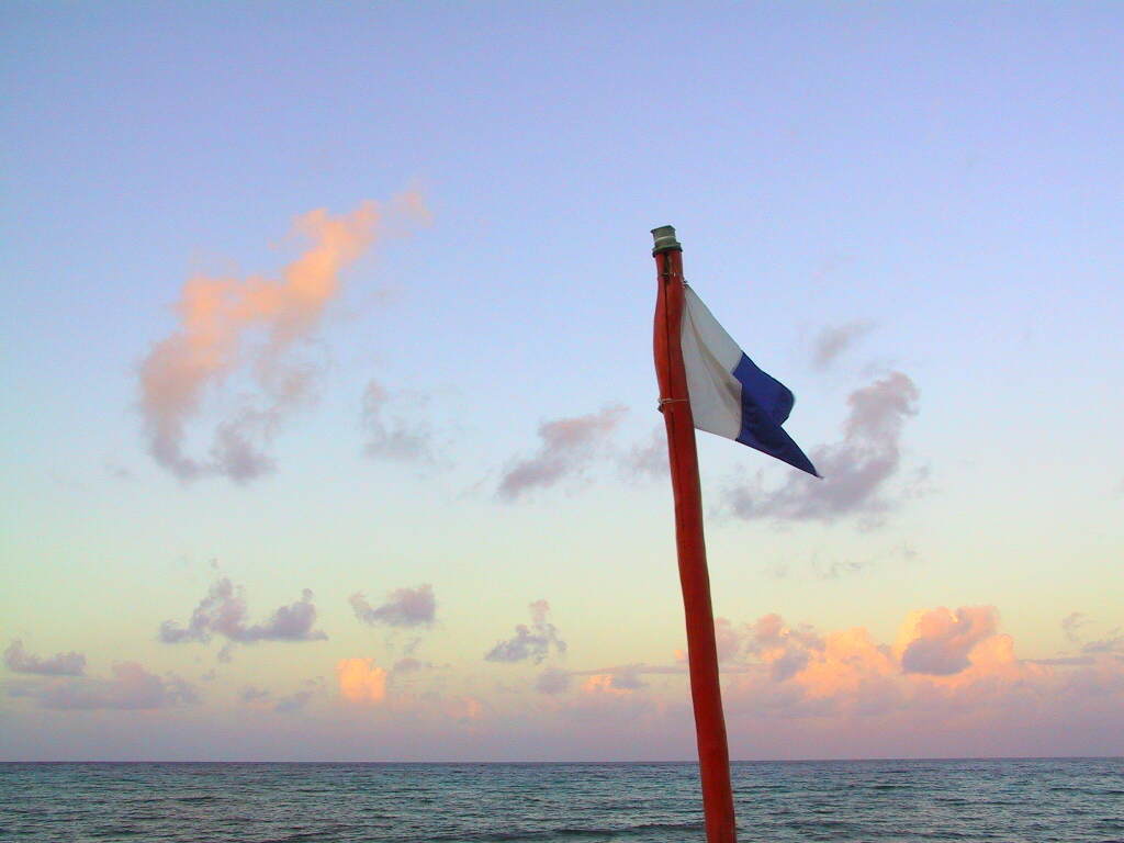 126-2688_IMG.JPG