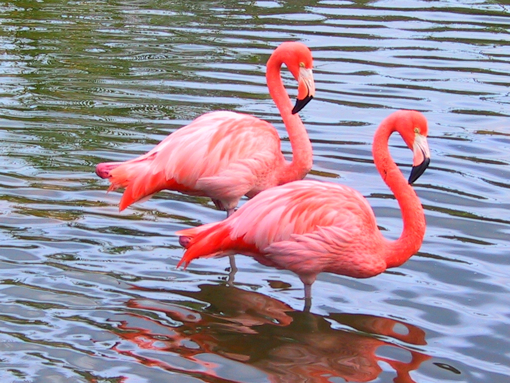 129-2951_IMG.JPG