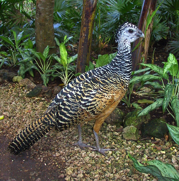 129-2952_IMG.JPG