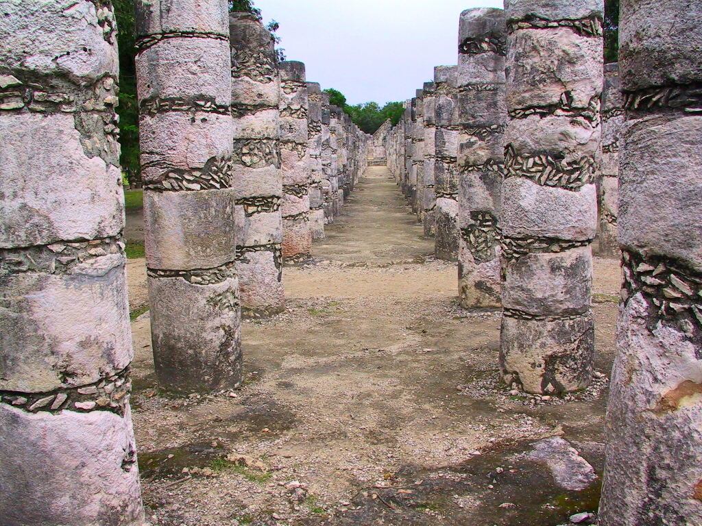 131-3119_IMG.JPG
