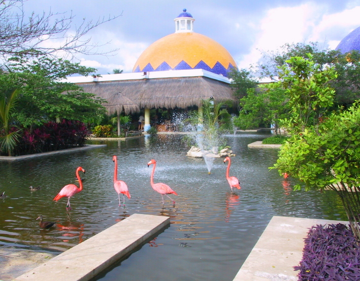 131-3139_IMG.JPG