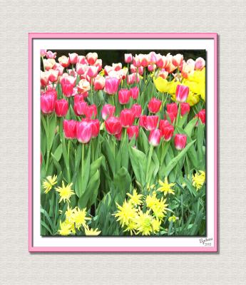 spring_flowers