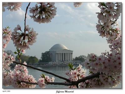 Jefferson Memorial