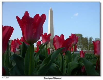 Washington Monument