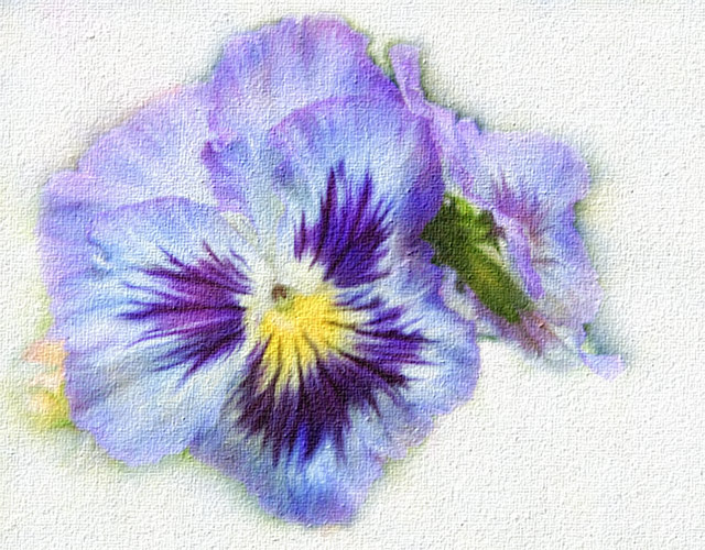 Hand Painted