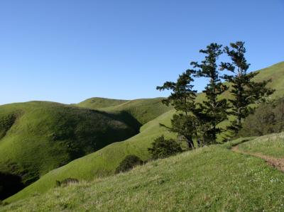 03.18.03 | Hiking the Costal >> Cataract >> Old Mine Loop in Marin