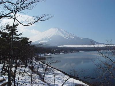 Mt Fuji & Fujikyu Highland