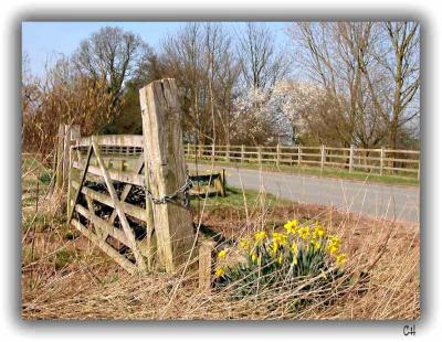 Signs-of-Spring.jpg