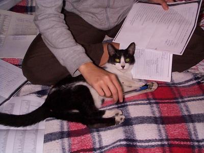 El Gato helps M study espanol