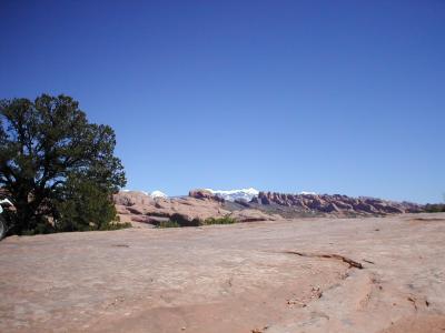 Smooth Rocks, Trees, Rugged Canyonsm with Snowy Mountians in backround