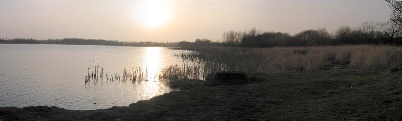 Near sunset