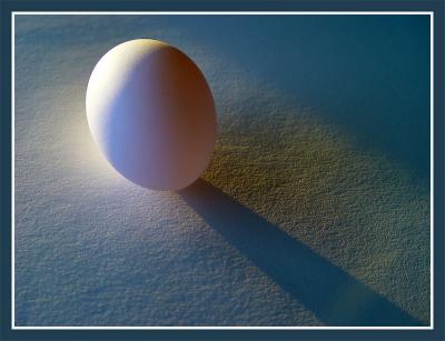 Shadow of the Egg