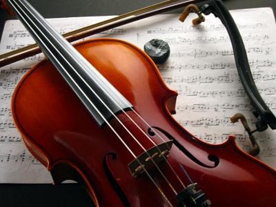 Viola #1