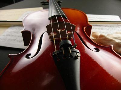 Viola #3