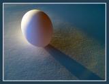 Shadow of the Egg