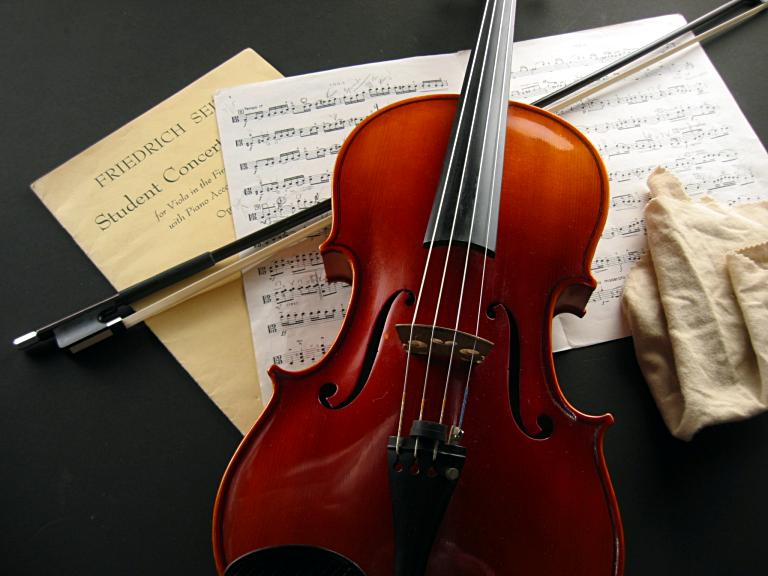 Viola #2