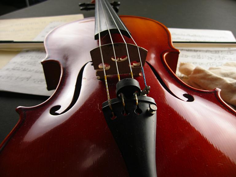 Viola #3