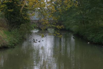 IMG_1482.JPG