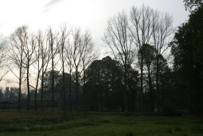 IMG_1511.JPG