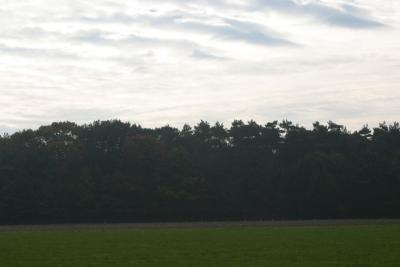 IMG_1524.JPG
