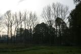 IMG_1511.JPG