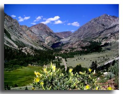 The view up Lee Vining Canyon