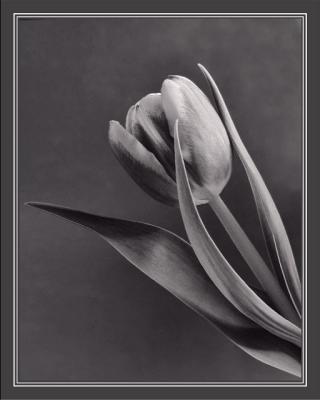 a little tulip on the side 1.jpg