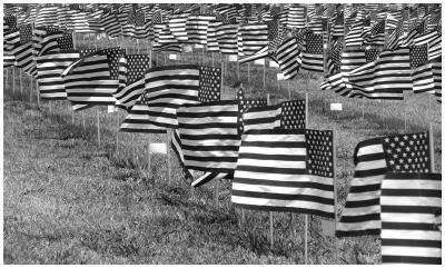u24/dcappello/medium/15424375.DSC01542bw.jpg