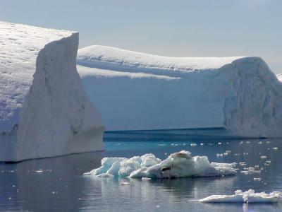 Iceberg rolls