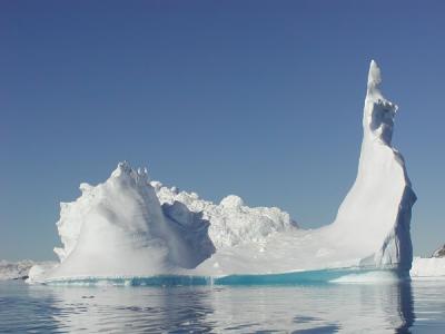 The bird iceberg