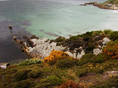 Gypsy Cove scenery