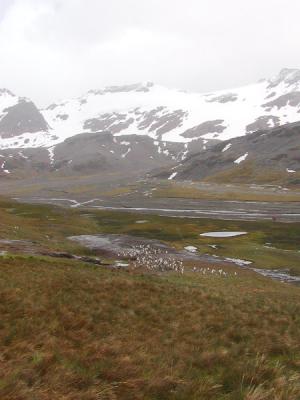 Glaciers behind Stromness